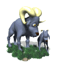 madre e piccolo.gif